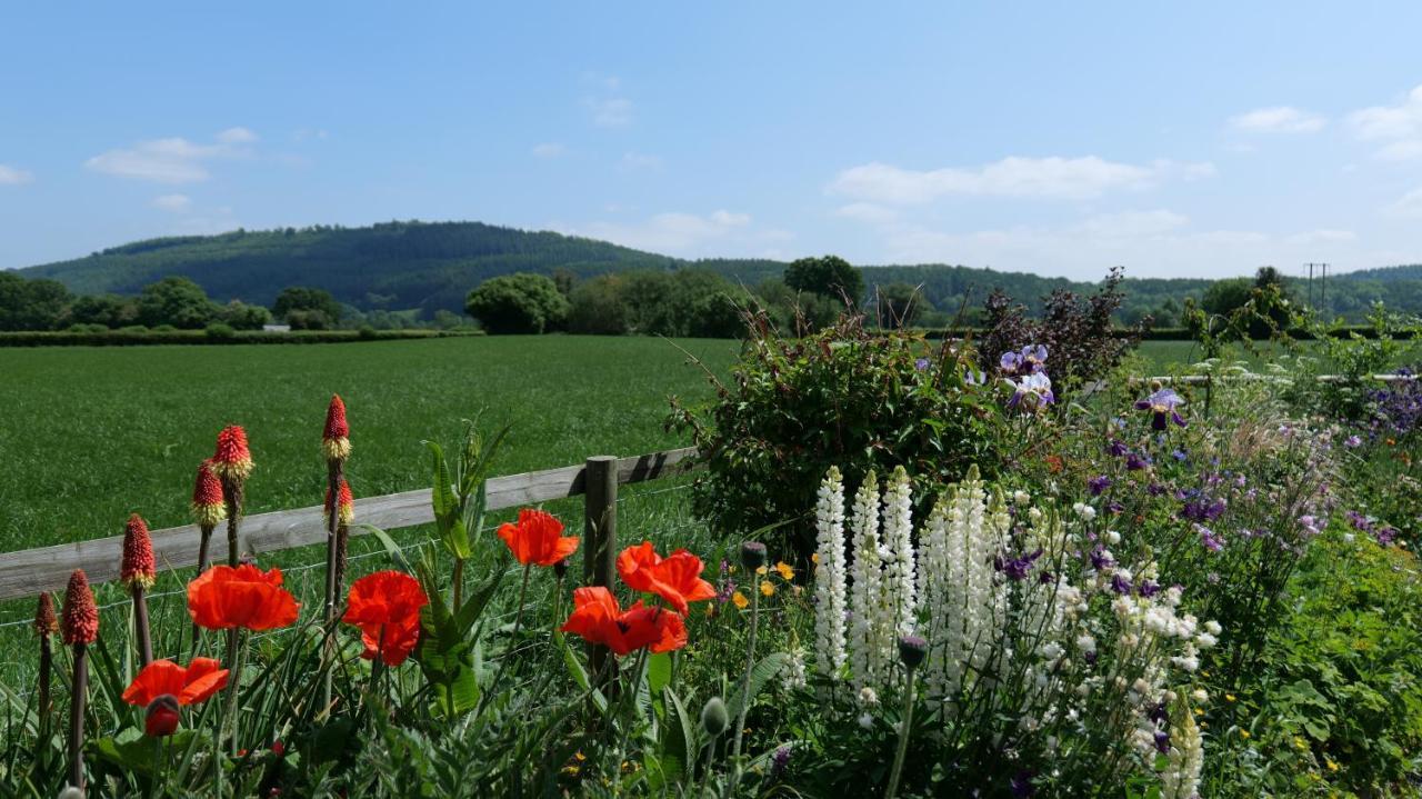 Country Cottage With Far Reaching Views Presteigne Kültér fotó